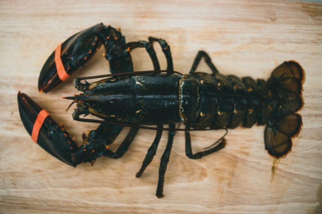 Garlic-Lime Butter Lobster Tails