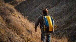 Effective Career Development Strategies