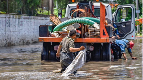 Environmental Crisis