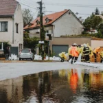 Survival Skills for Suburbia