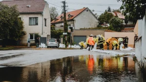 Survival Skills for Suburbia